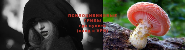 амф Аркадак