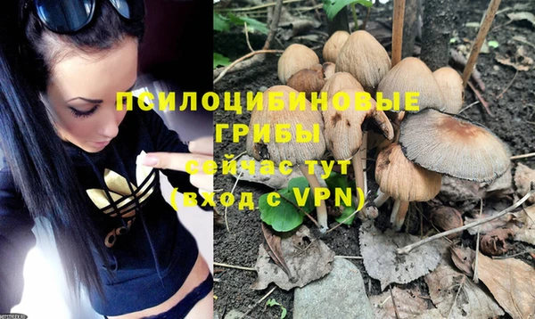 прущая мука Армянск