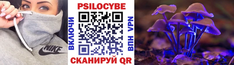 Галлюциногенные грибы Cubensis Купить где Строитель